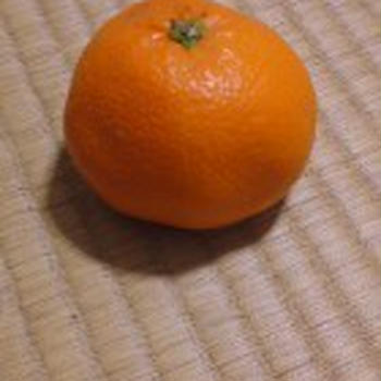 いよかん