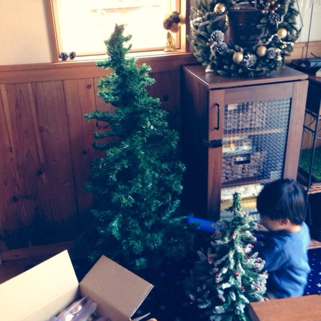 ゆずの使い道、ゆずアイス。クリスマスに向けて、、、。