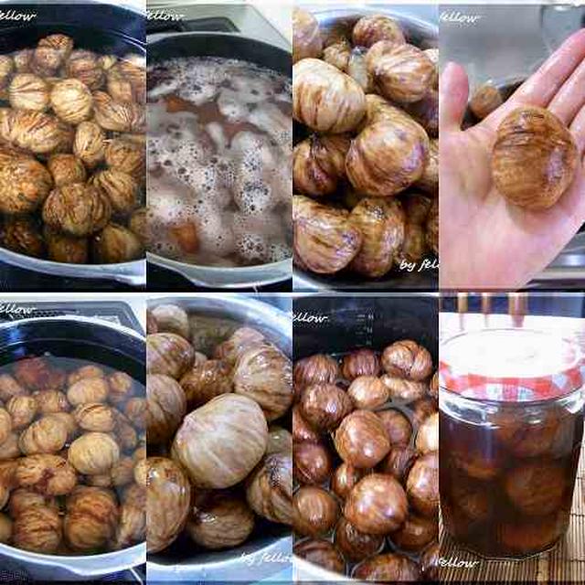 ◆植物大移動♪～ボジョレーワインで癒されたおうちごはん♪
