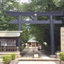 【世田谷区】松陰神社 ７月９日（日）まで茅の輪くぐりができます