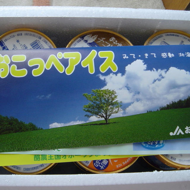 北の国からの贈り物