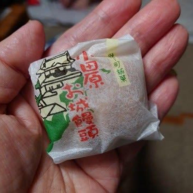 お城がお城に見えなかった