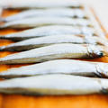 ししゃも シシャモ 柳葉魚 値段 1キロあたり平均858円 相場や旬の情報