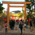 ＊初詣@生田神社＊