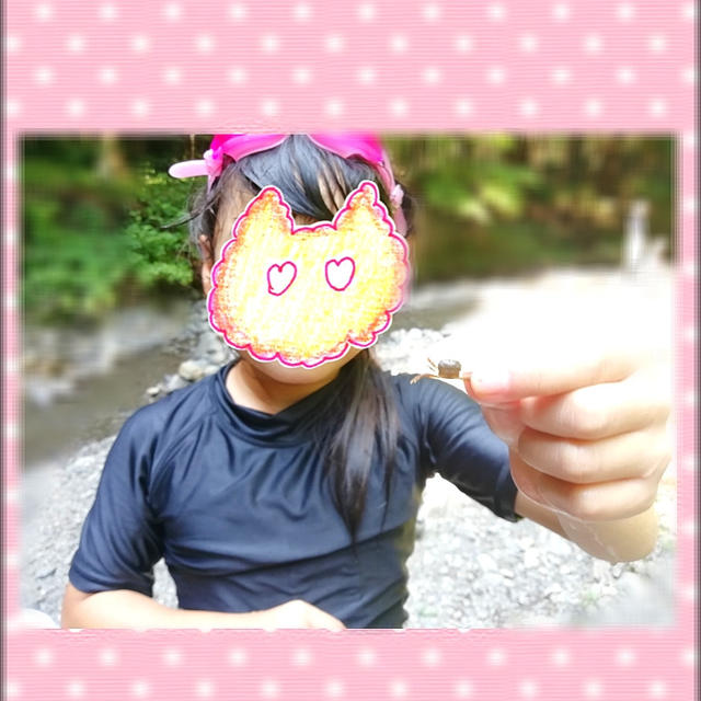 かに見つけたよ❣