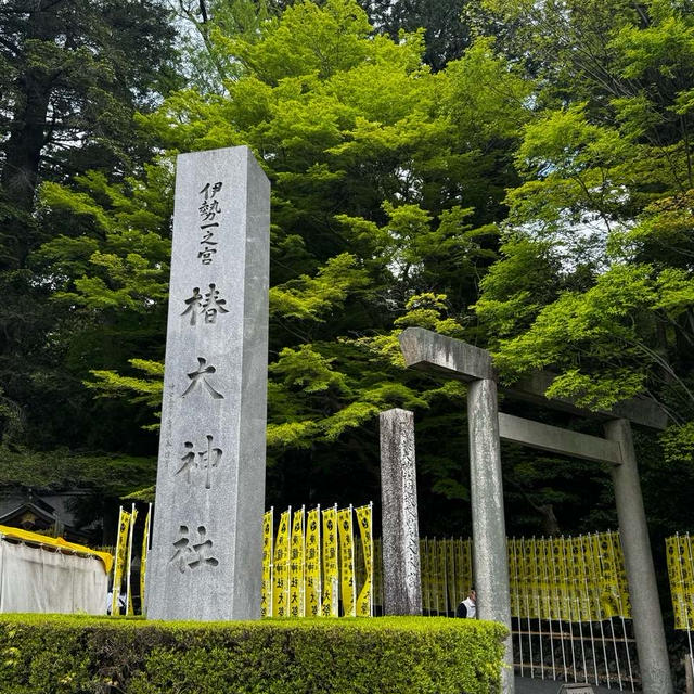 あなたの目が一生見えますように