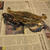 Hard shell crabs, steamed with Old Bay