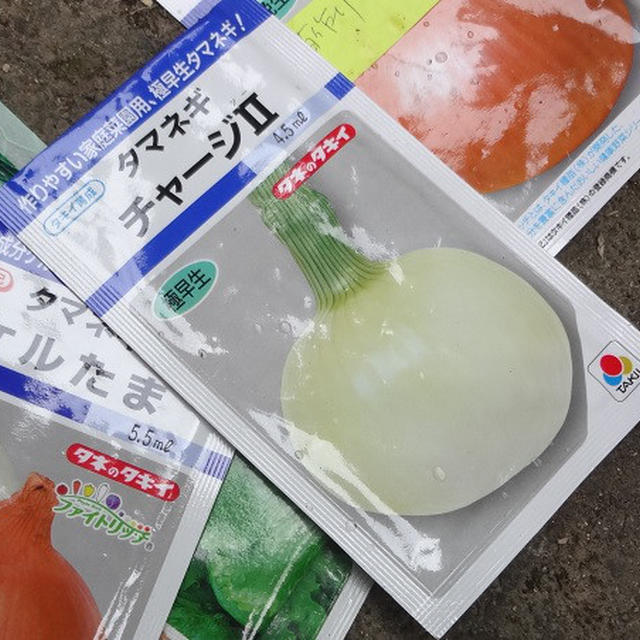 秋冬野菜、種まいたで～、植えたで～、疲れたで～！