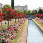 風速３ｍがポイント　♪横浜・山手イタリア山庭園の薔薇と噴水の饗宴