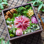 6/15 スパイシーチキンの花金弁当