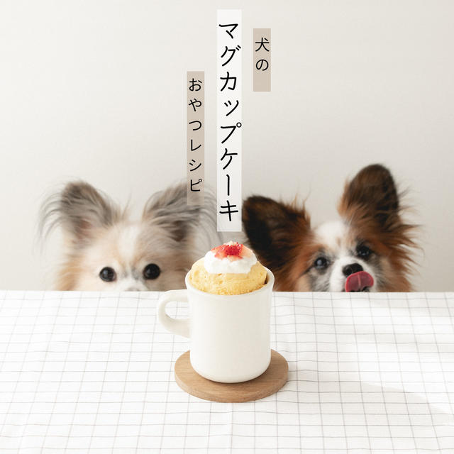 犬おやつレシピ｜レンジで1分40秒！卵とおからのマグカップケーキ