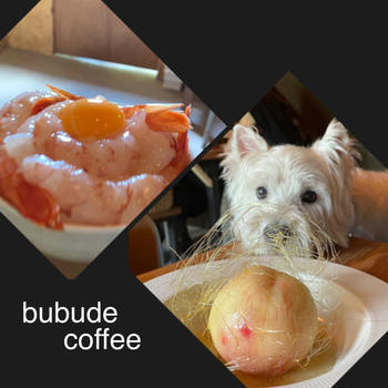 bubude coffee