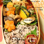 　4時20分起き弁当。