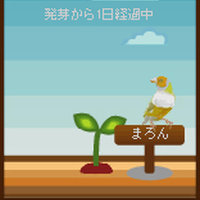 来ました(^o^)丿