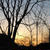 今日の夕焼け、最近撮った写真#ameba写真部