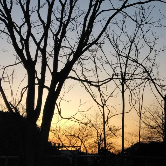 今日の夕焼け、最近撮った写真#ameba写真部