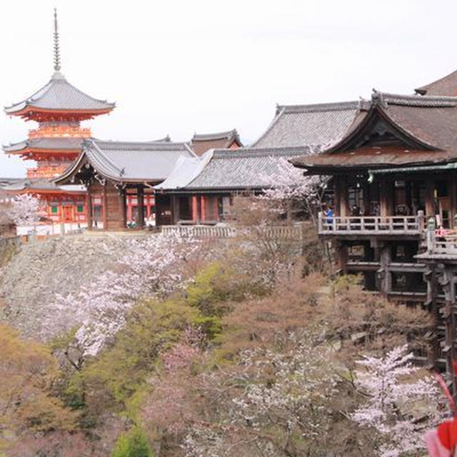 京の桜2016♪やっぱり食べ物かな