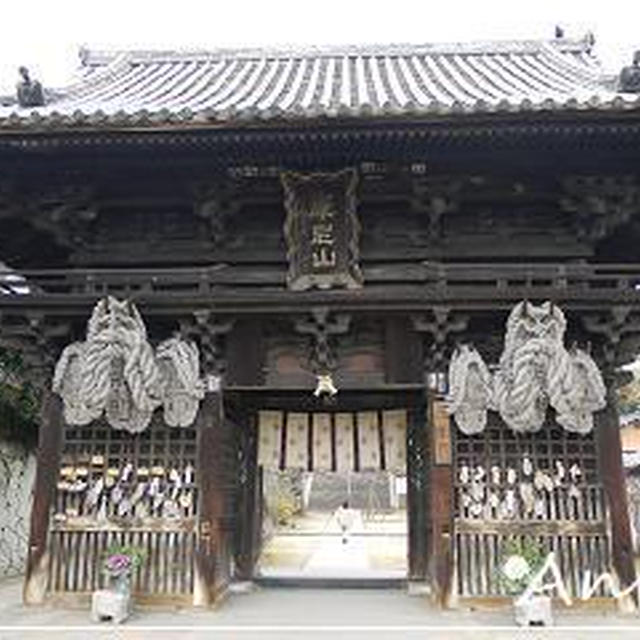 ☆2011 尾道初詣④－西國寺－☆