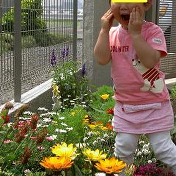 こうちゃんちのサヤエンドウ＆お花達♪