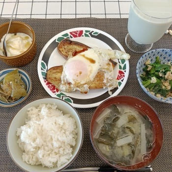 6月7日のゴハン