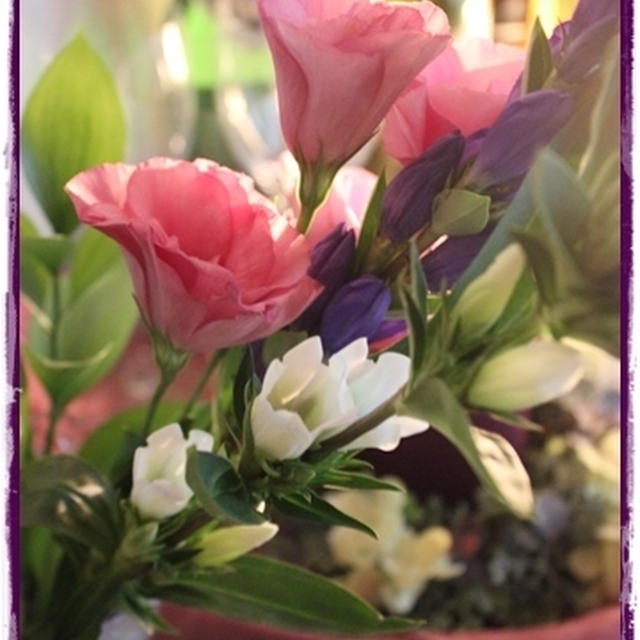 ９月の花 ～＊リンドウ＊～
