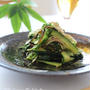 野菜わしわし！ ナムル風サラダ