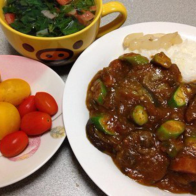 休肝日の茄子カレー