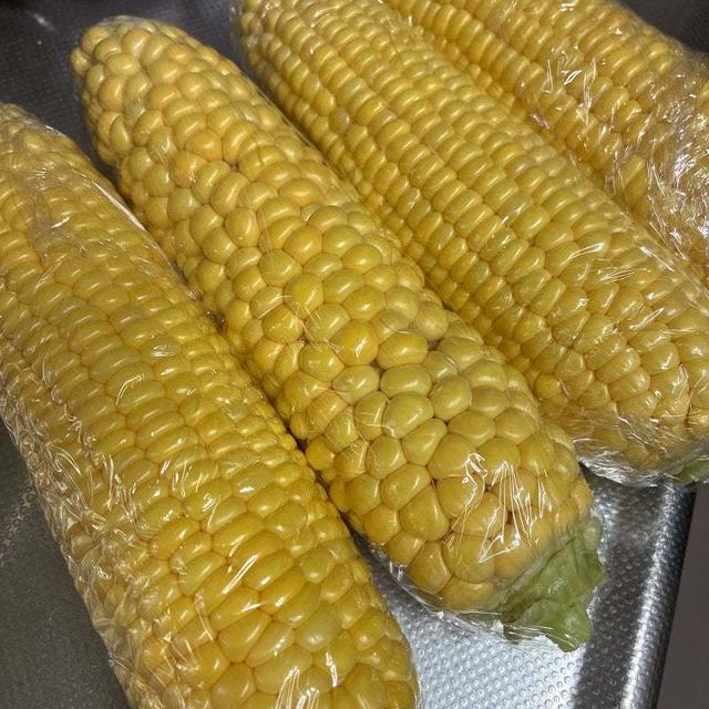 お土産飯