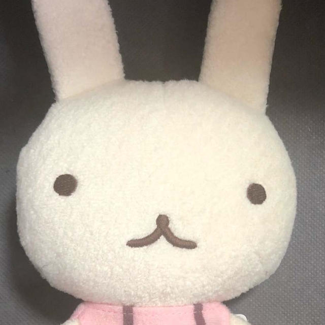 楽天お買い物マラソン　今回買ったもの