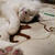 猫はなぜ頭頂部を温めるのか？