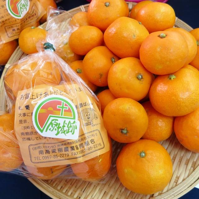 二子玉川ライズ「ソラシドエア Presents グリーンスカイフェスタ」が開催中