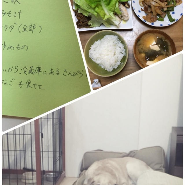 今日のなーさんの晩ごはんは兄さん作