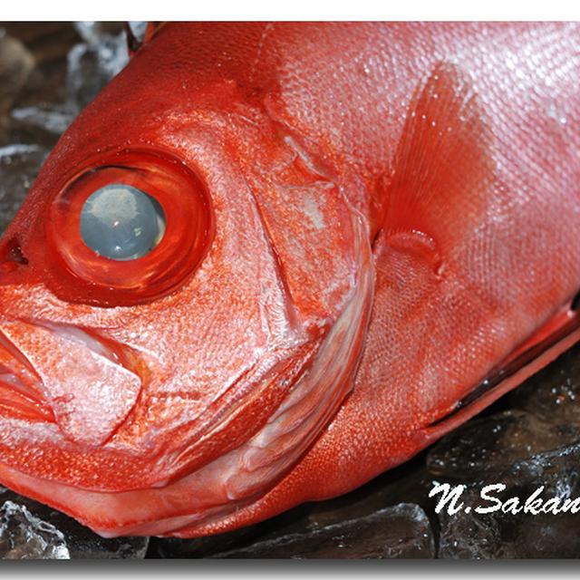近目金時 チカメキントキ 金目鯛に似た魚です By 魚屋三代目さん レシピブログ 料理ブログのレシピ満載