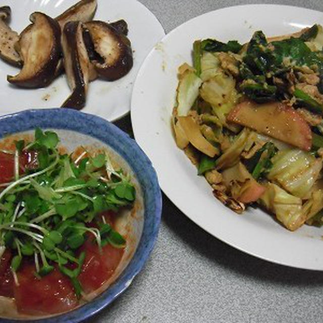 マグロのコチュジャン和えと野菜炒め。猫は布団で長くなる？