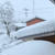 大雪
