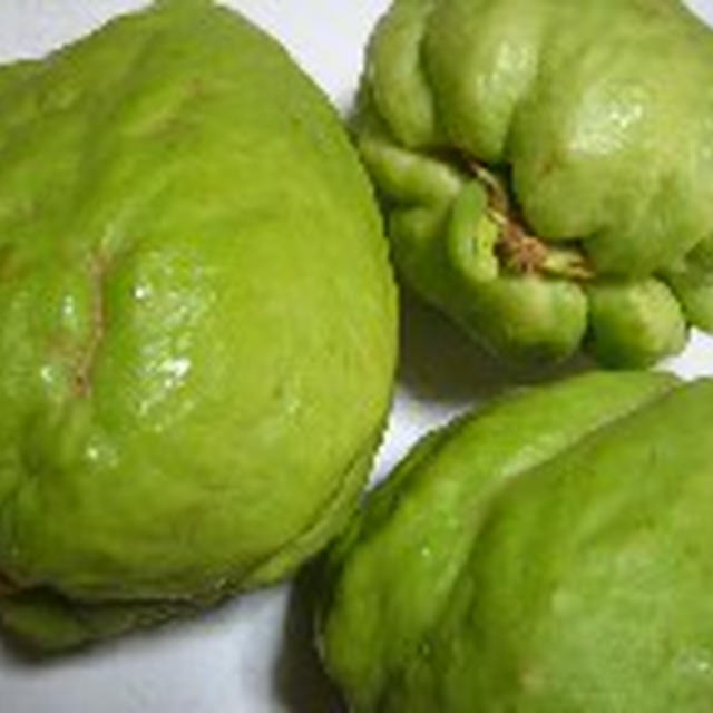 はやと瓜・さごし刺身