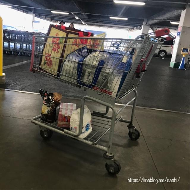 コストコの戦利品達♡【#コストコ#戦利品】