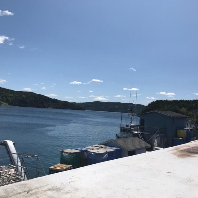 余裕で日光浴