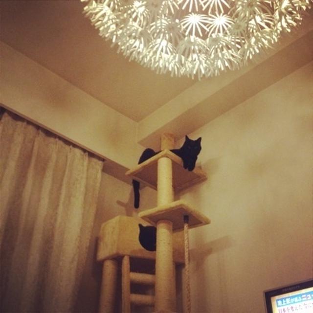 見てる！！！