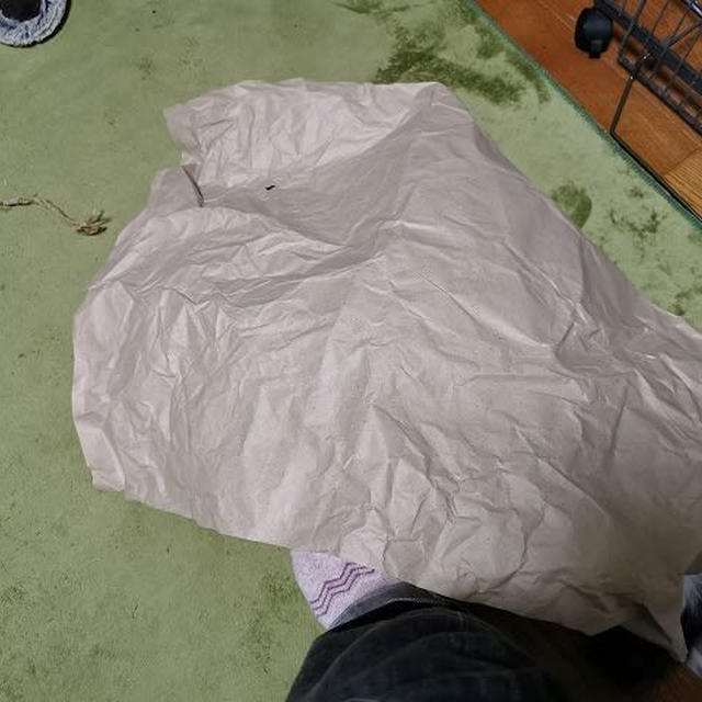 かくれんぼ / 暴風