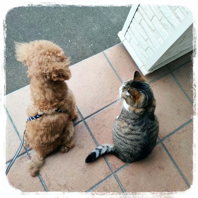 のんびりと