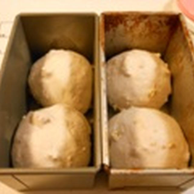 ホシノ丹沢酵母日記　***　クルミ山食　***