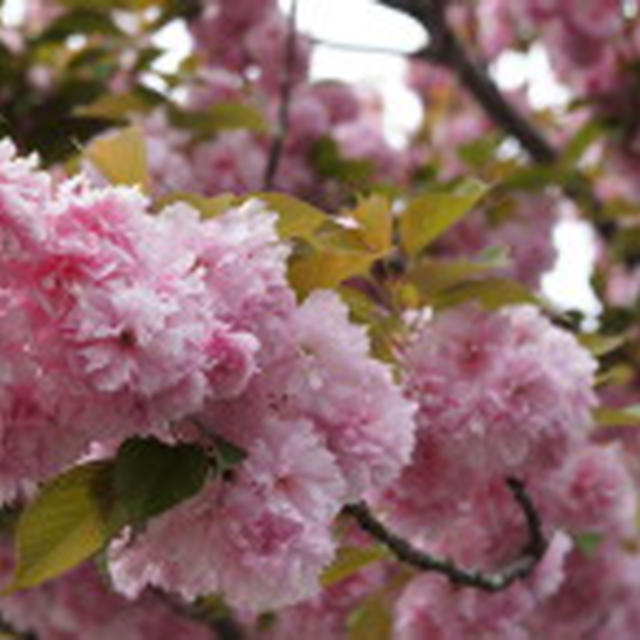 4/21 楽しい写真撮影♡