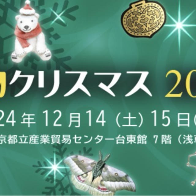 お知らせ / 博物クリスマス2024 出展のお知らせとおしながき(2024年12月14-15日開催)