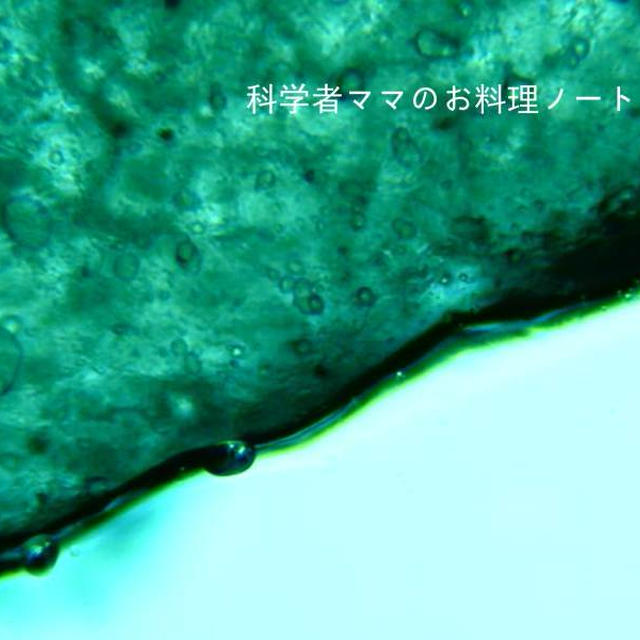 塩麹の効果を顕微鏡で見てみました！
