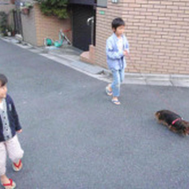 本の贈り物と八宝菜