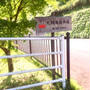 鹿児島 観光 犬飼滝