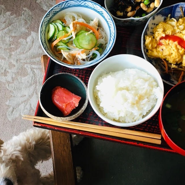 蒸し鶏入り春雨サラダのランチプレート