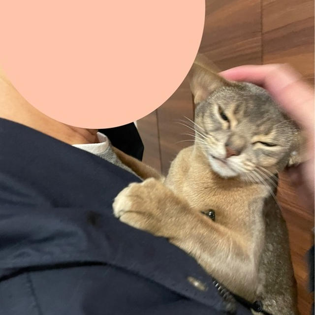 パパが帰ってきたでち！
