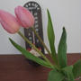 ピンクのチューリップで我が家に春の兆し
